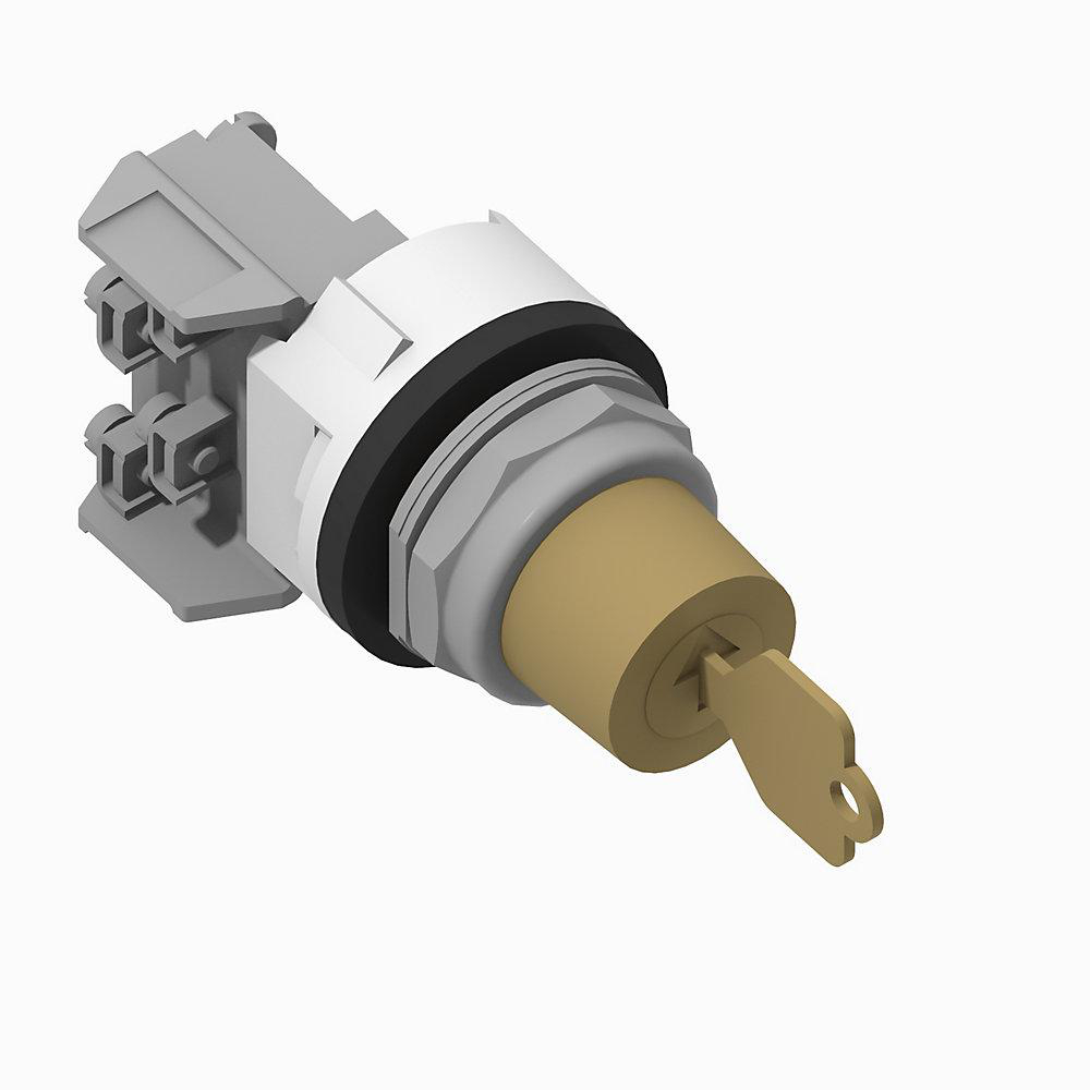 Product image for Switch selector 1NO-1NC key removal all maintained T171-key KB7-cam