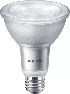 phi567981