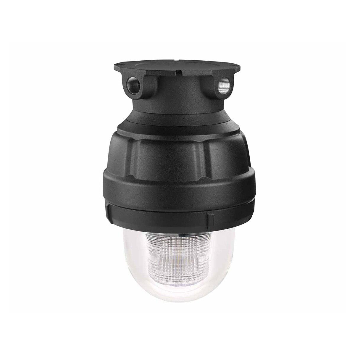 Product image for EXP PRF LED FLASHG LGT MODU 120-240V CLR