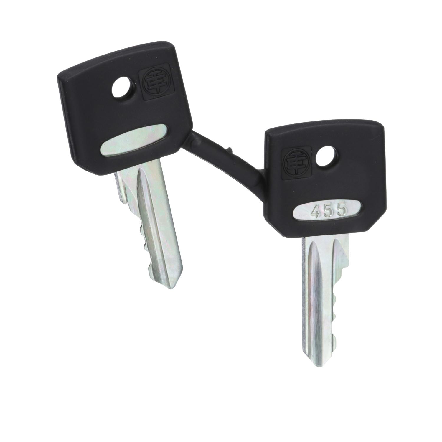 Product image for HARMONY, 22MM PUSH BUTTON, REPLACEMNET KEYS, SET OF TWO 455 KEYS