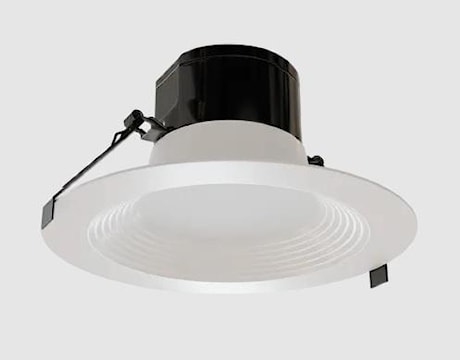 rnor39206