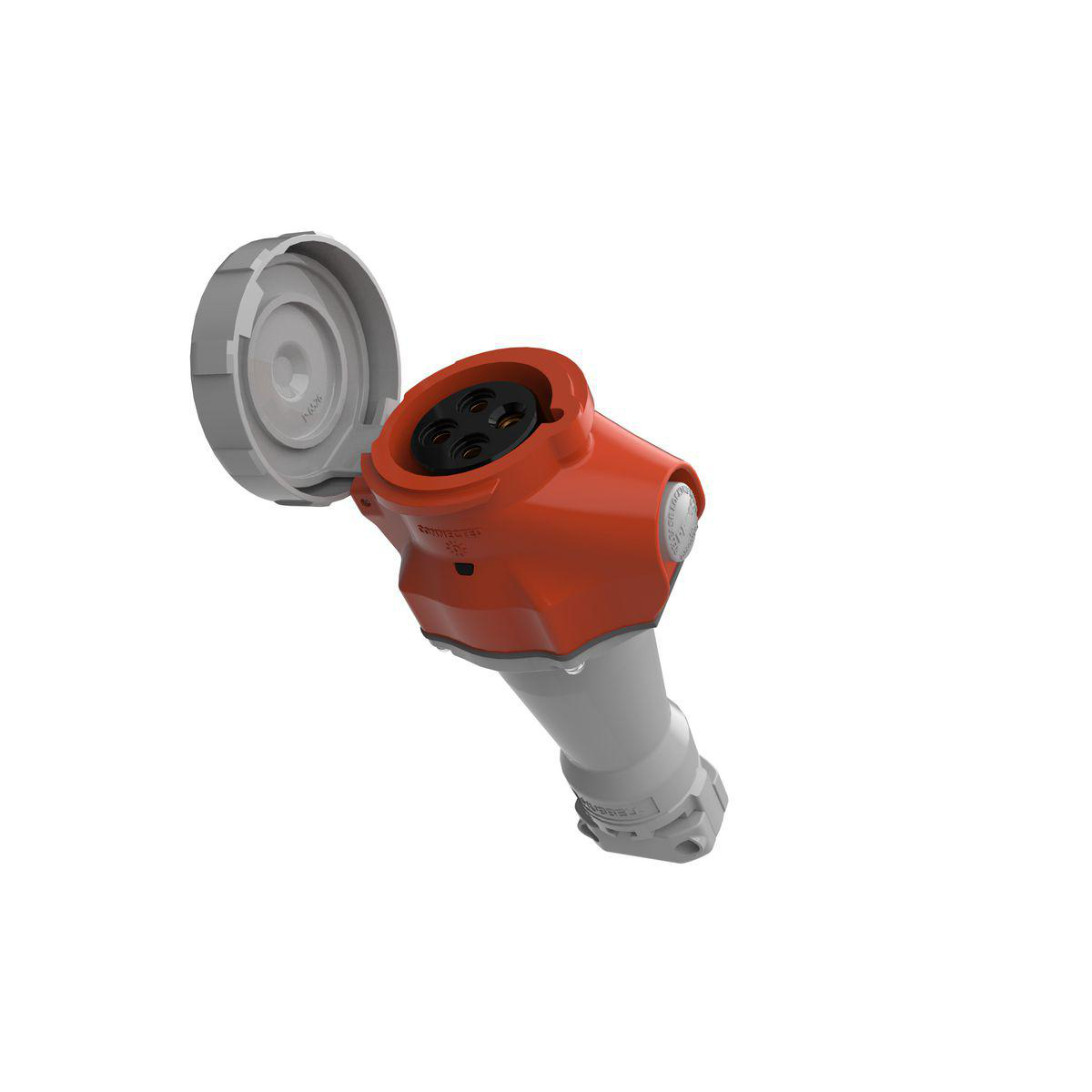 Image thumbnail 2