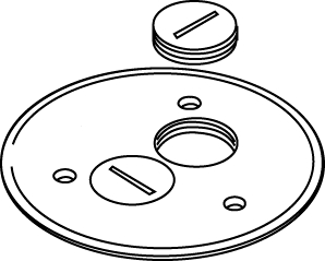 Product image for Ratchet-Pro 881 Series Cover Plate With Two Screw Plug Openings