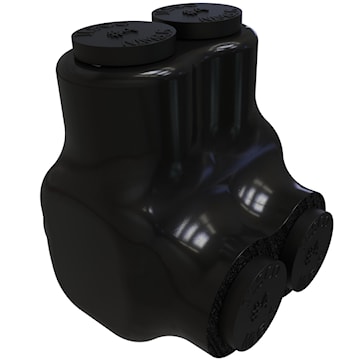 ilspbts24