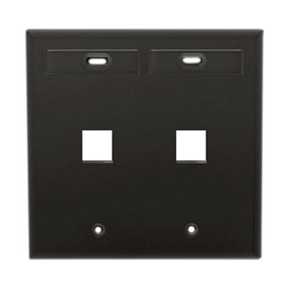 Product image for Plate wall standard 2-gang 2-port plastic black