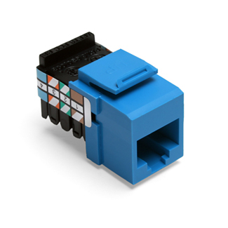 Product image for Connector UTP 8P8C RJ-45 plug blue