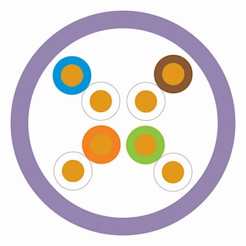 cablev6lanmarkpurft6305