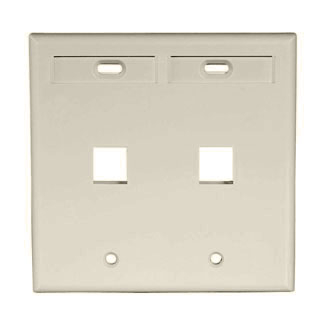 Product image for Plate wall standard 2-gang 2-port plastic ivory