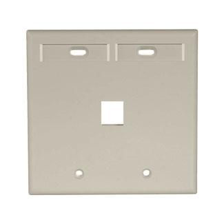 Product image for Plate wall standard 2-gang 1-port plastic ivory