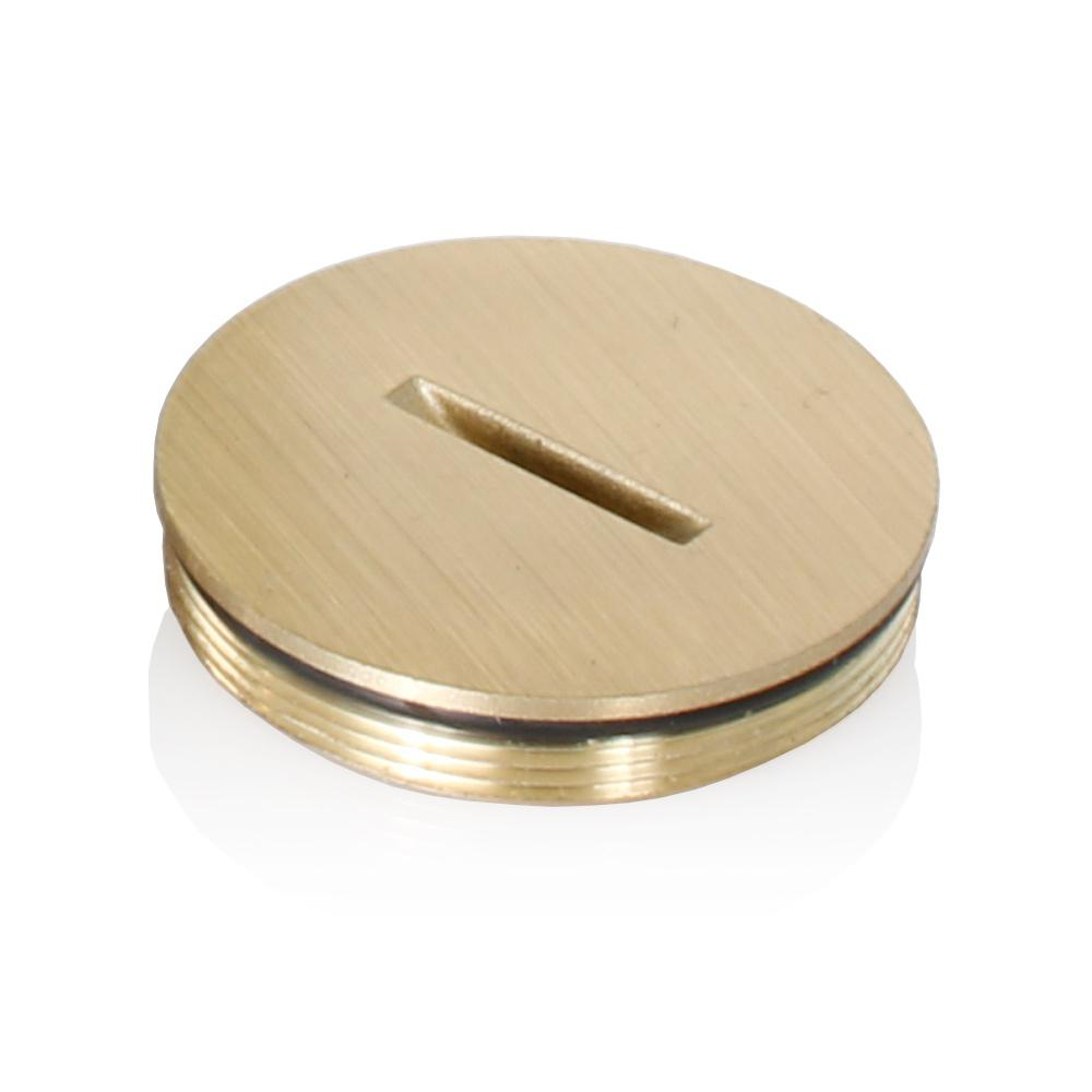 Product image for Cap replacement single 125V 15/20AMP brass
