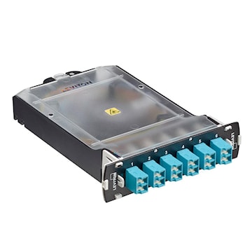 levsplcs2ql