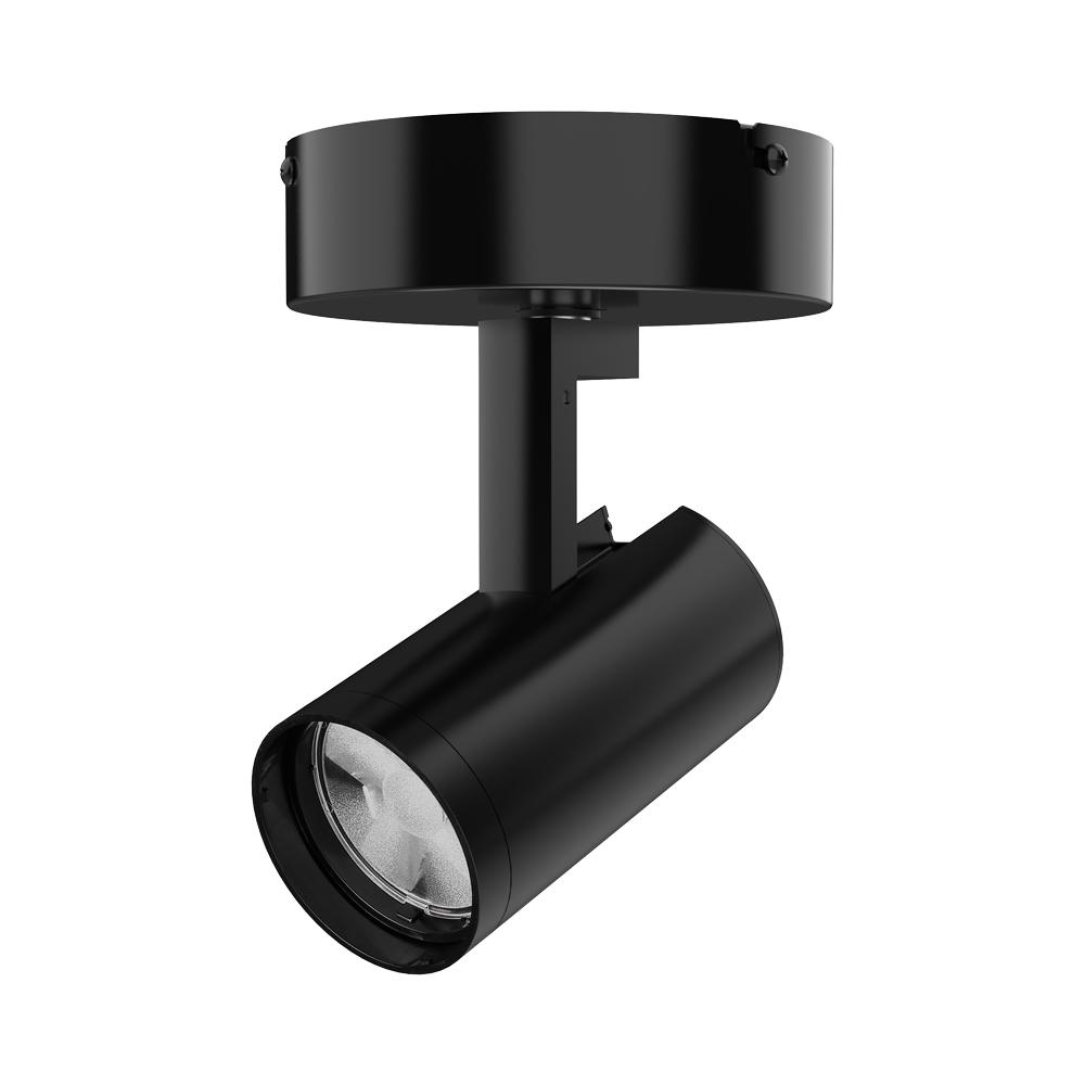 Product image for TRAC-LITES 10W LED VARIABLE BEAM, 3000K,