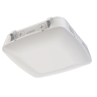 litcnyledaloswwuvpepirwh