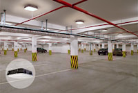 litcnyledaloswwuvpepirdb