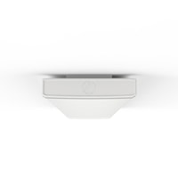 littrum48alo6fmp8sww2mv