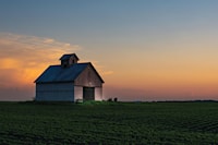 litbgsp2sww2mvoltpeddb