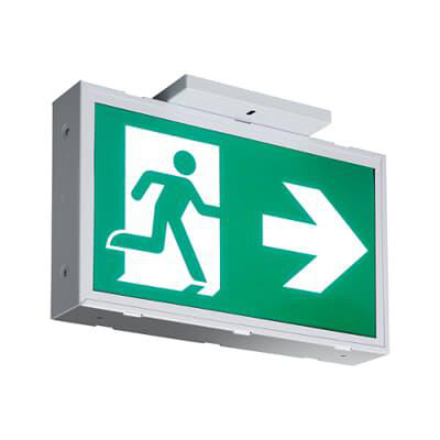 Product image for STEEL SIGN PICTO 120-347V ACDC