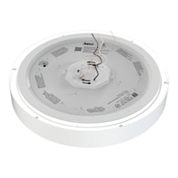 junfmdr17insww590crimw