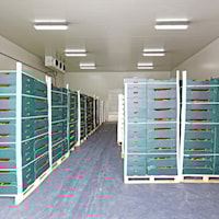 litcsvtl9610000lmmv4k