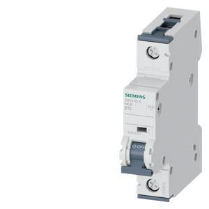Product image for SUP PTOR 5SY4 1P 240V 13A 7.5K B-TRIP