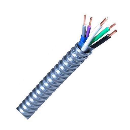Product image for ACIC 12/2-16/2 Wire ACIC #12 AWG 2 Conductor Aluminum Armoured C/W #16 AWG 2 Conductor Control Cable ACIC