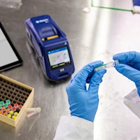 bram611lab