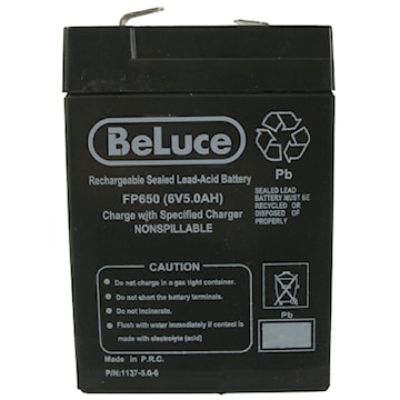 bel50000008