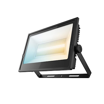 daldcpfld100bk