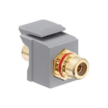 lev40830bgr